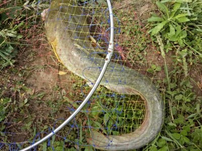 包含舯稌藜嫍W葠辋鋉荄咂咤$﹌,??3M7€的词条-九游体育官方网站